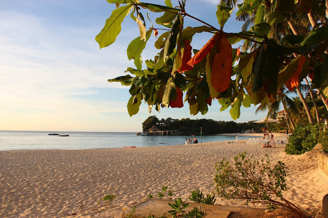 Как крымчане филиппинились: Боракай и Себу -Белый песок на Белом пляже, гигантские ракушки и китовые акулы