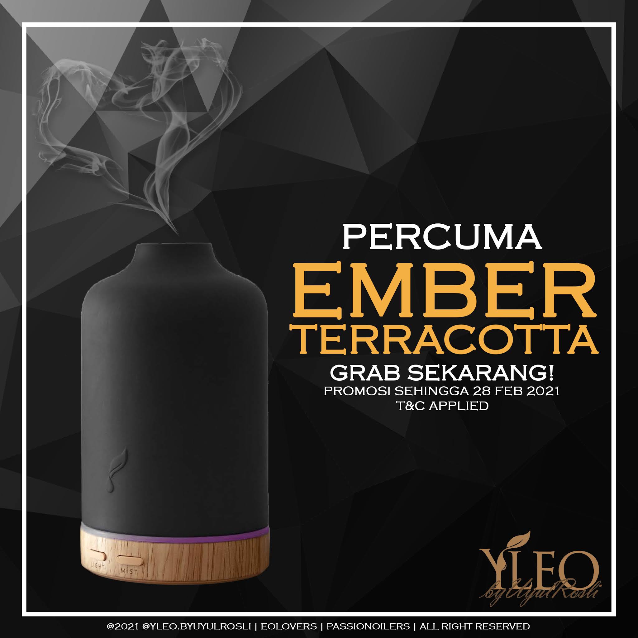 Ember diffuser young living