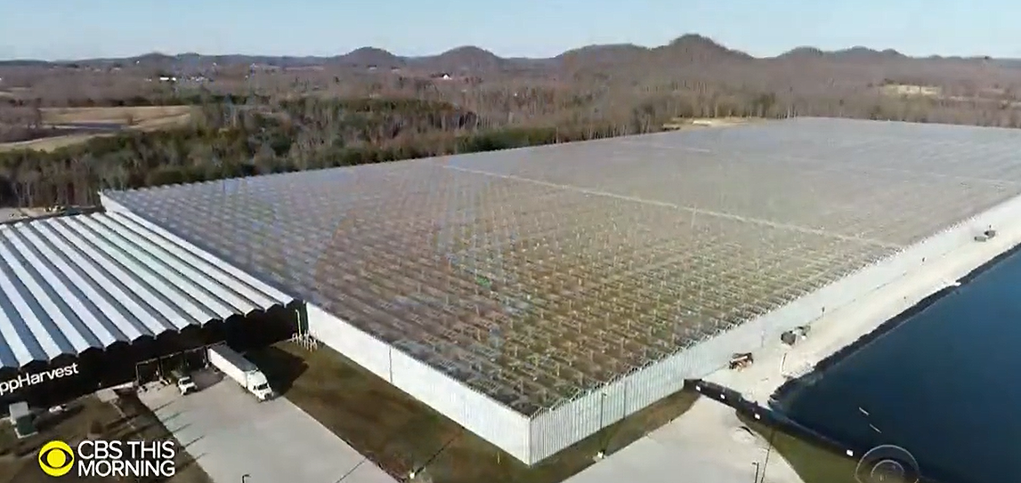 The Rural Blog Hightech rural Ky. produce grower AppHarvest plans big