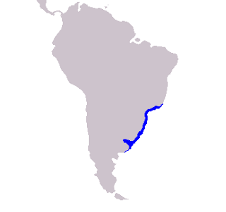 La Plata yunusu doğal yaşam alanı haritası