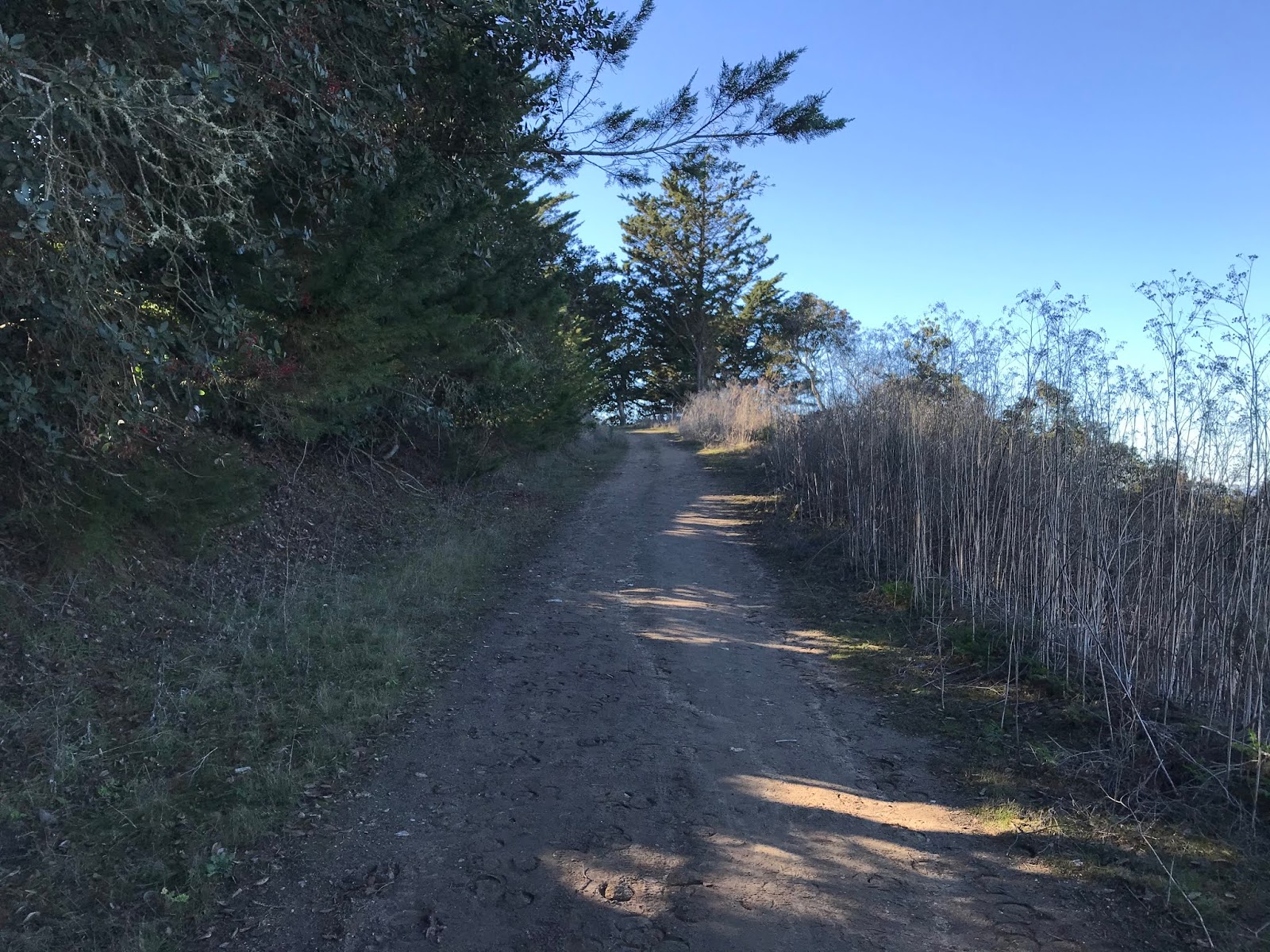 Old Stage Road; the "real" El Camino Real and predecessor route to US