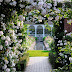 สวยดอกกุหลาบ David Austin Rose Garden ตำนานดอกกุหลาบแห่งสหราชอาณาจักร 
