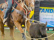 BarnScoop: NAILE in Louisville, KY - Livestock Show and Great Shopping ...