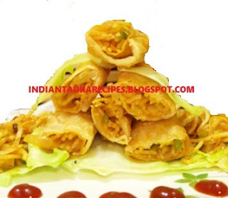 noodles spring roll recipe