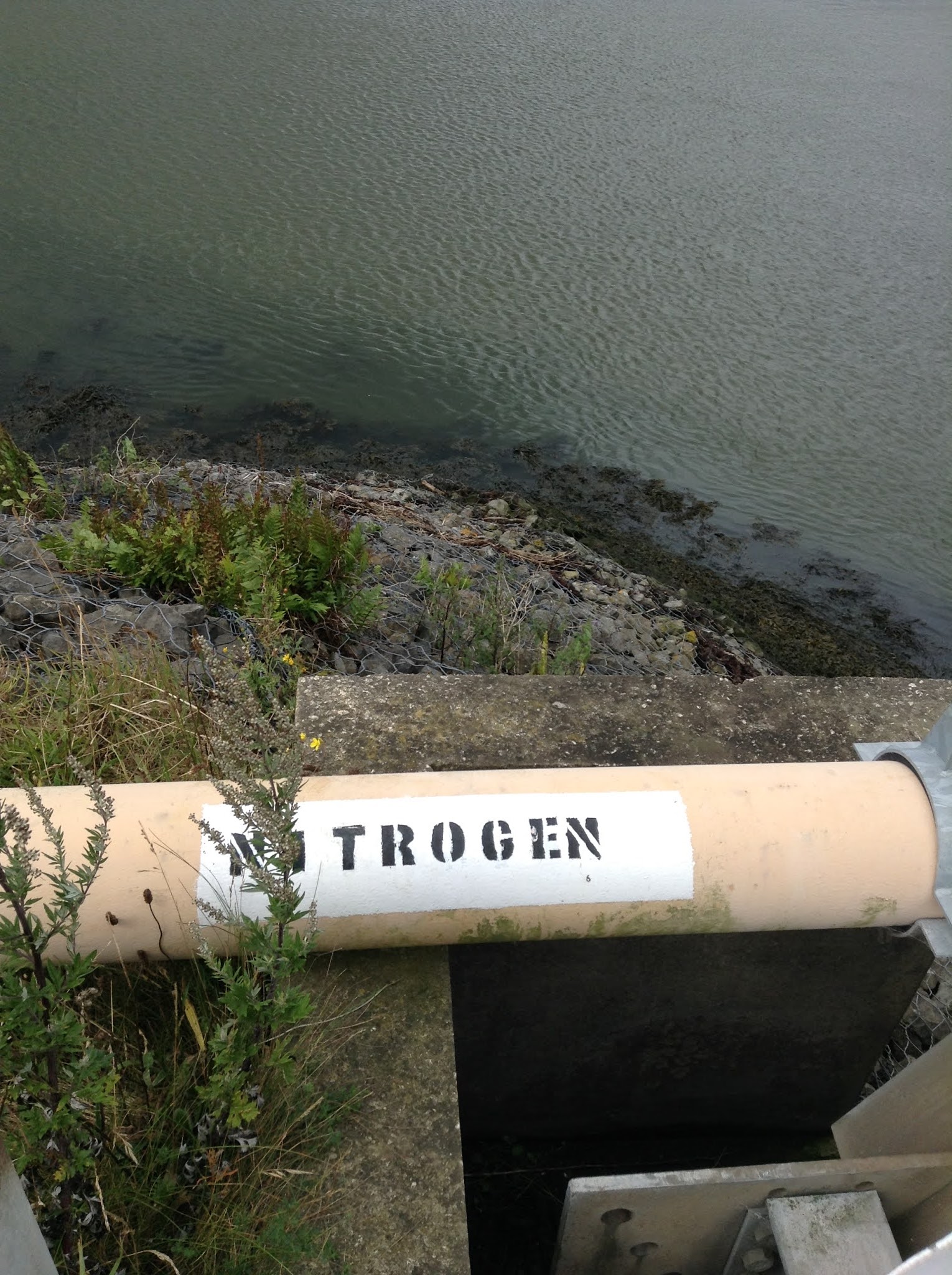 wigton physics A pipeline of nitrogen