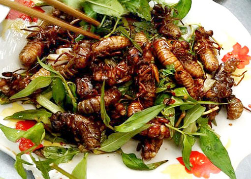 dac-san-de-com-chien-nuoc-mam-dong-nai-dam-da dac-san-de-com-chien-nuoc-mam-dong-nai-dam-da