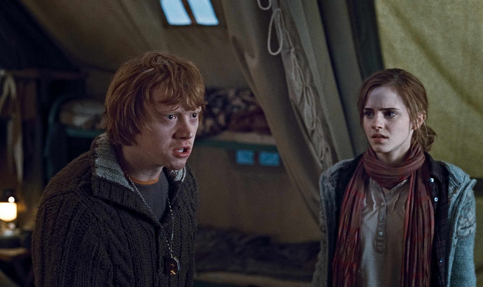 MoviE Picture Harry Potter and the Deathly Hallows Part 1 [2010]