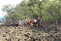 Warga Temukan Mayat Membusuk Di Taman Nasional Baluran Situbondo