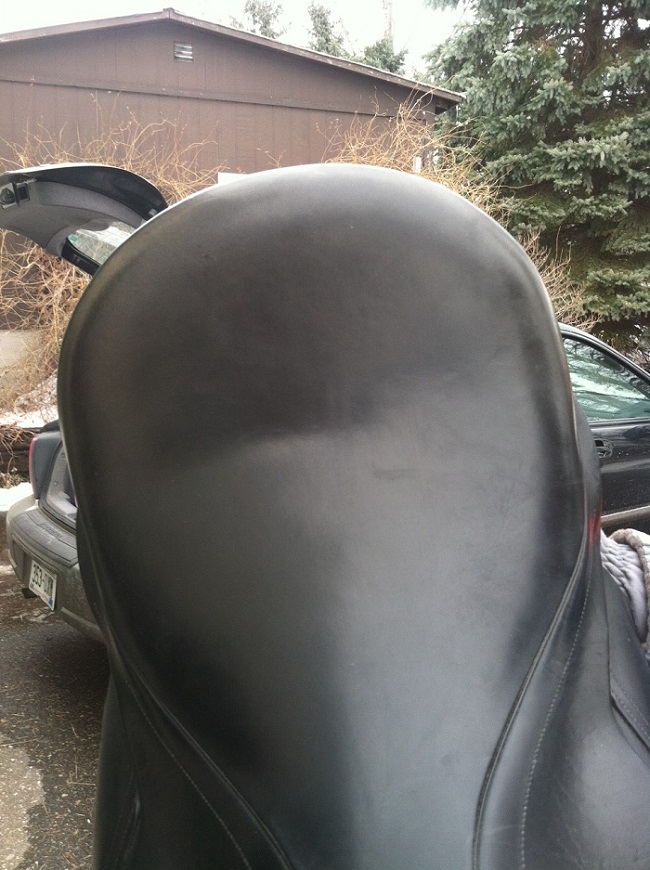 Mechanics for the Equine Athlete How to tell if your saddle tree is broken