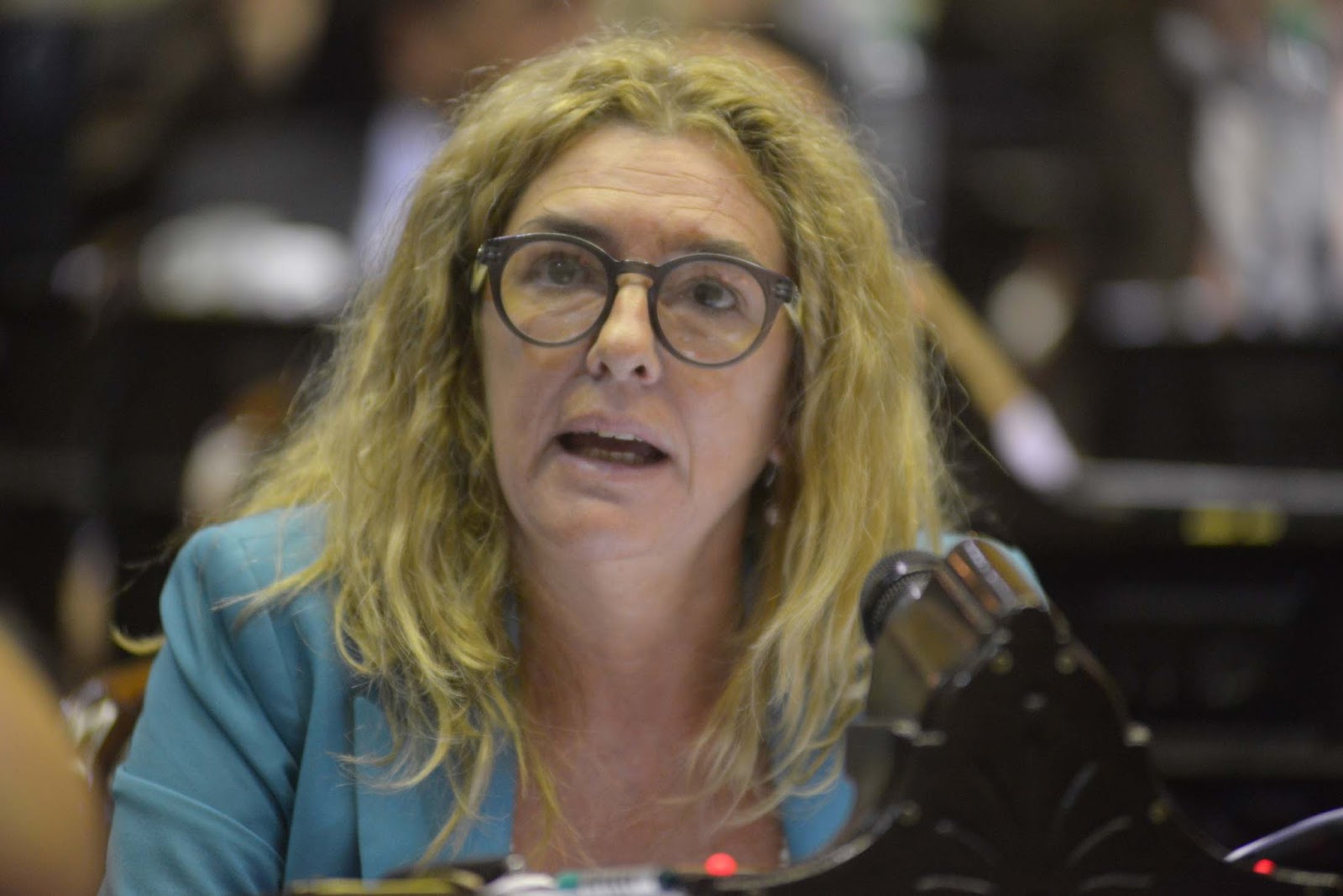 Opiniones en Libertad: CLAUDIA RUCCI IMPULSA UNA LEY PARA COMBATIR LA ...