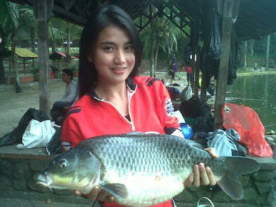 umpan ikan mas jitu