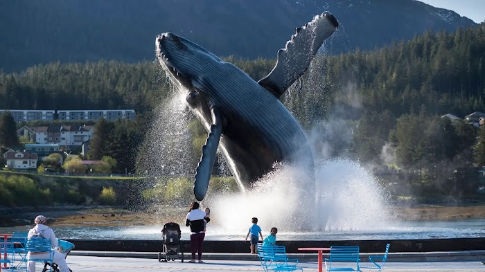 The best Tourist Attractions in Juneau, Alaska