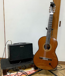 Bossa Nova classical guitar and MSP pickup