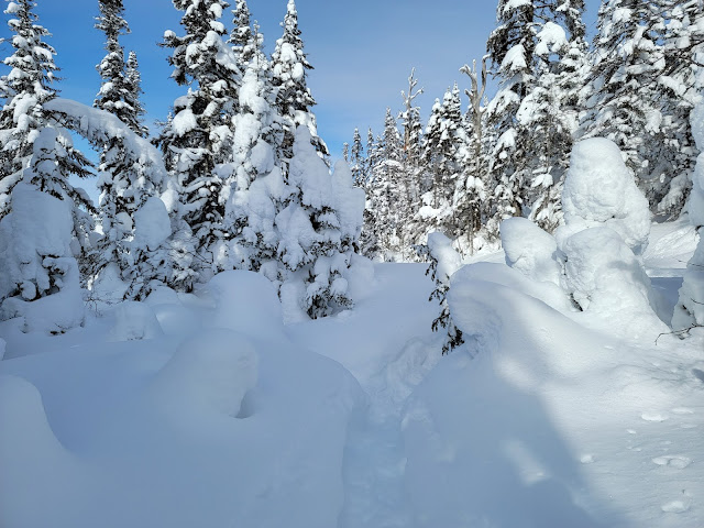 Sur le sentier de la Vallée des Fantômes