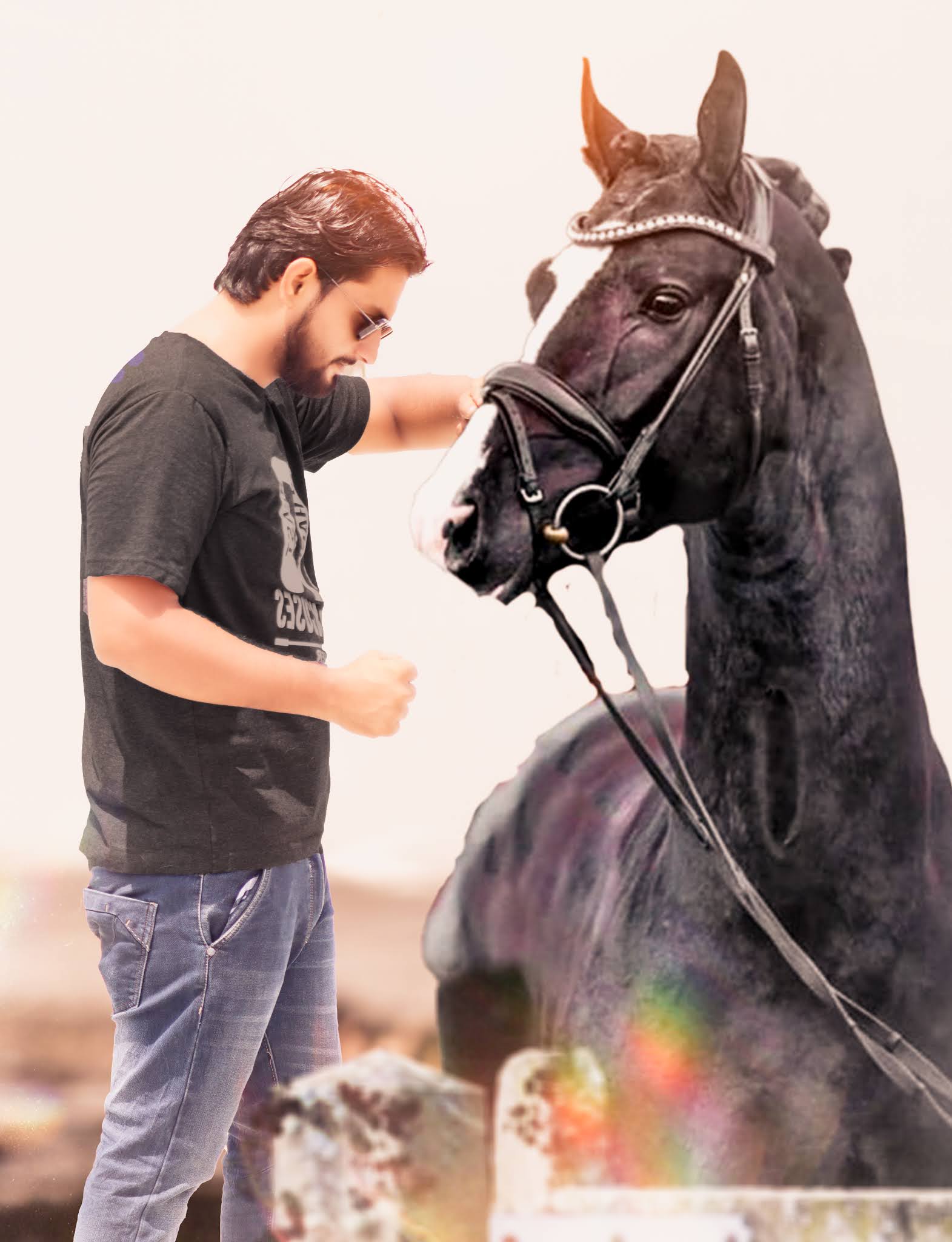 CLASSIC BLACK HORSE /Photo Editing Tutorial in Picasrt 2020