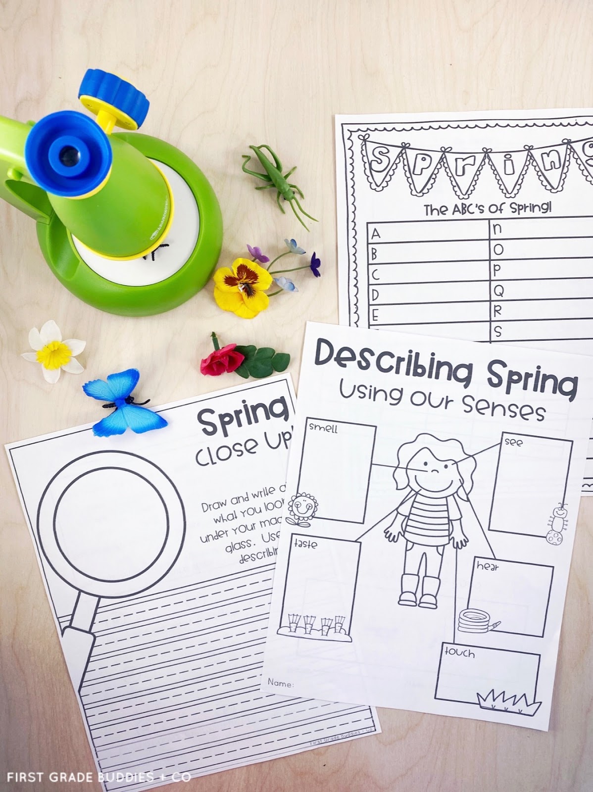 Simple Science: Spring Science | First Grade Buddies