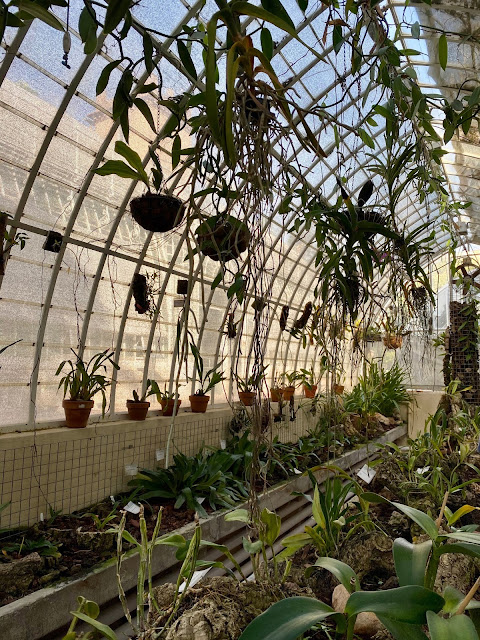 Greenhouses in the Botanic Gardens, Valencia, Spain