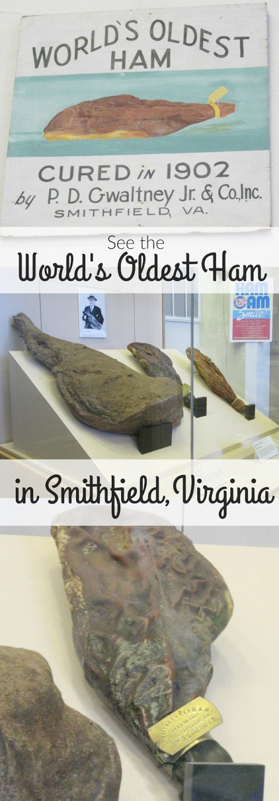 See the World's Oldest Ham at the Isle of Wight County Museum in Smithfield, Virginia