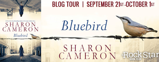 Bluebird Blog Tour: Excerpt + Giveaway