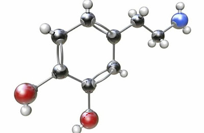 Ikatan Kimia Sebagai Kaidah Dasar Dalam Mempelajari Kimia Organik