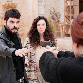 Hercai - Fickle Heart Full Episodes with English Subtitles | Story Plot, Achievements and Full Episodes