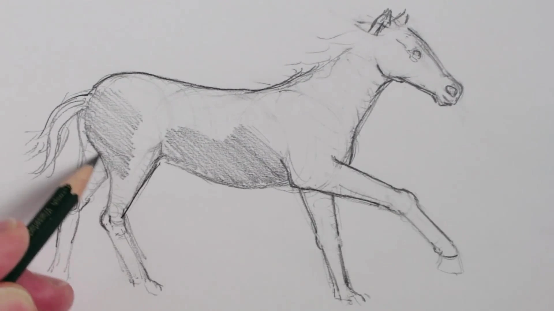 رسم حصان بالرصاص