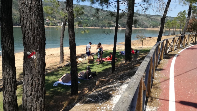 Zona de Sombra de Pinheiro junto á agua Zona de Sombra de Pinheiro junto á agua