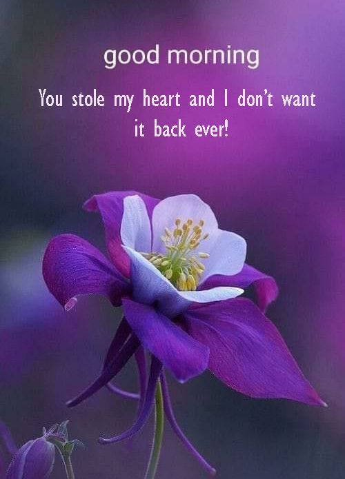 good morning sms with love