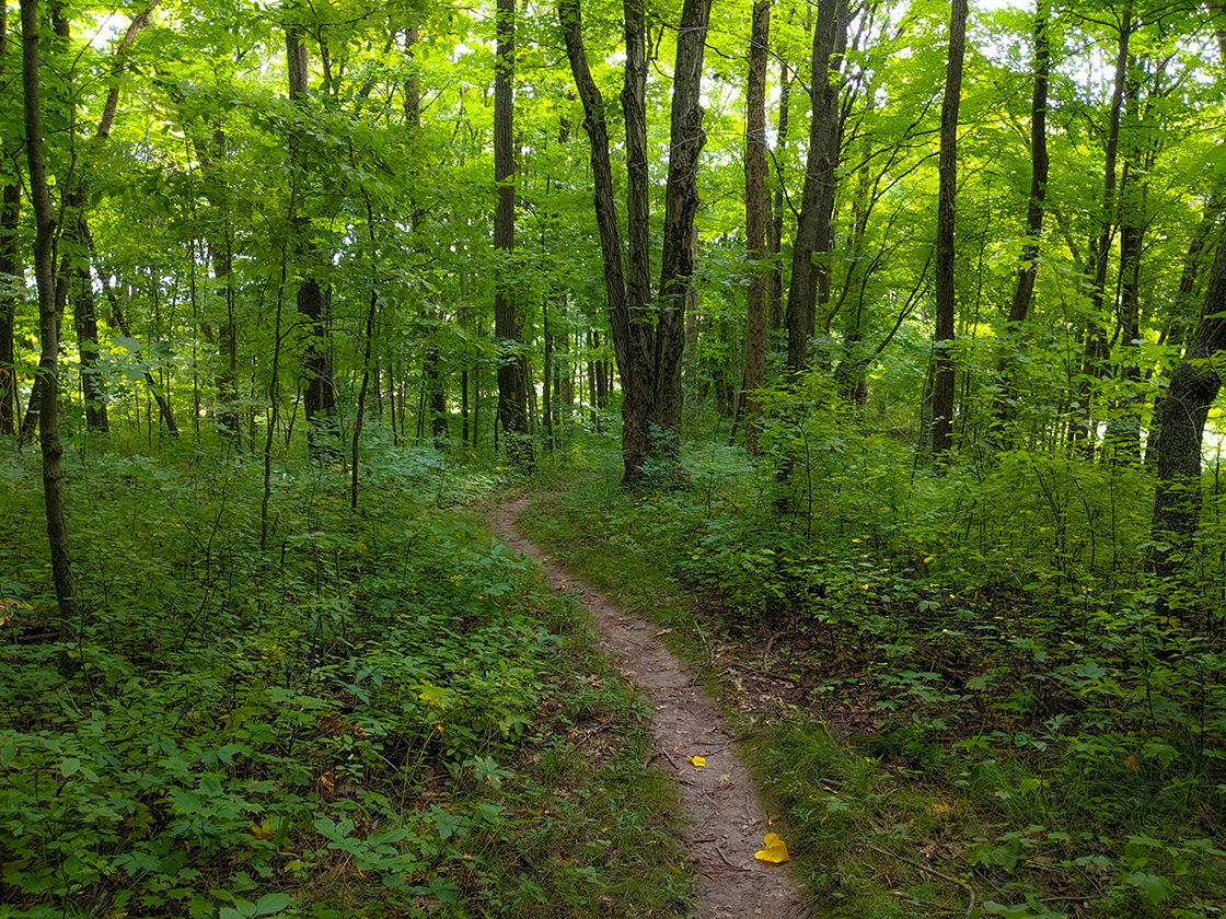 Hiking the Kewaskum Segment of the Ice Age Trail