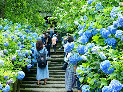 �����@�̃A�W�T�C