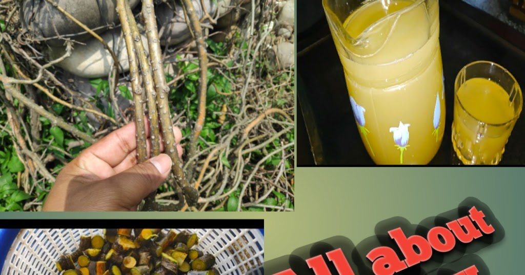 All about Giloy, Giloy juice the immunity booster