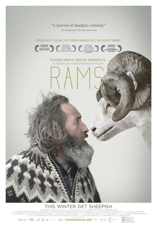 [HD] Rams (El valle de los carneros) 2015 Pelicula Online Castellano