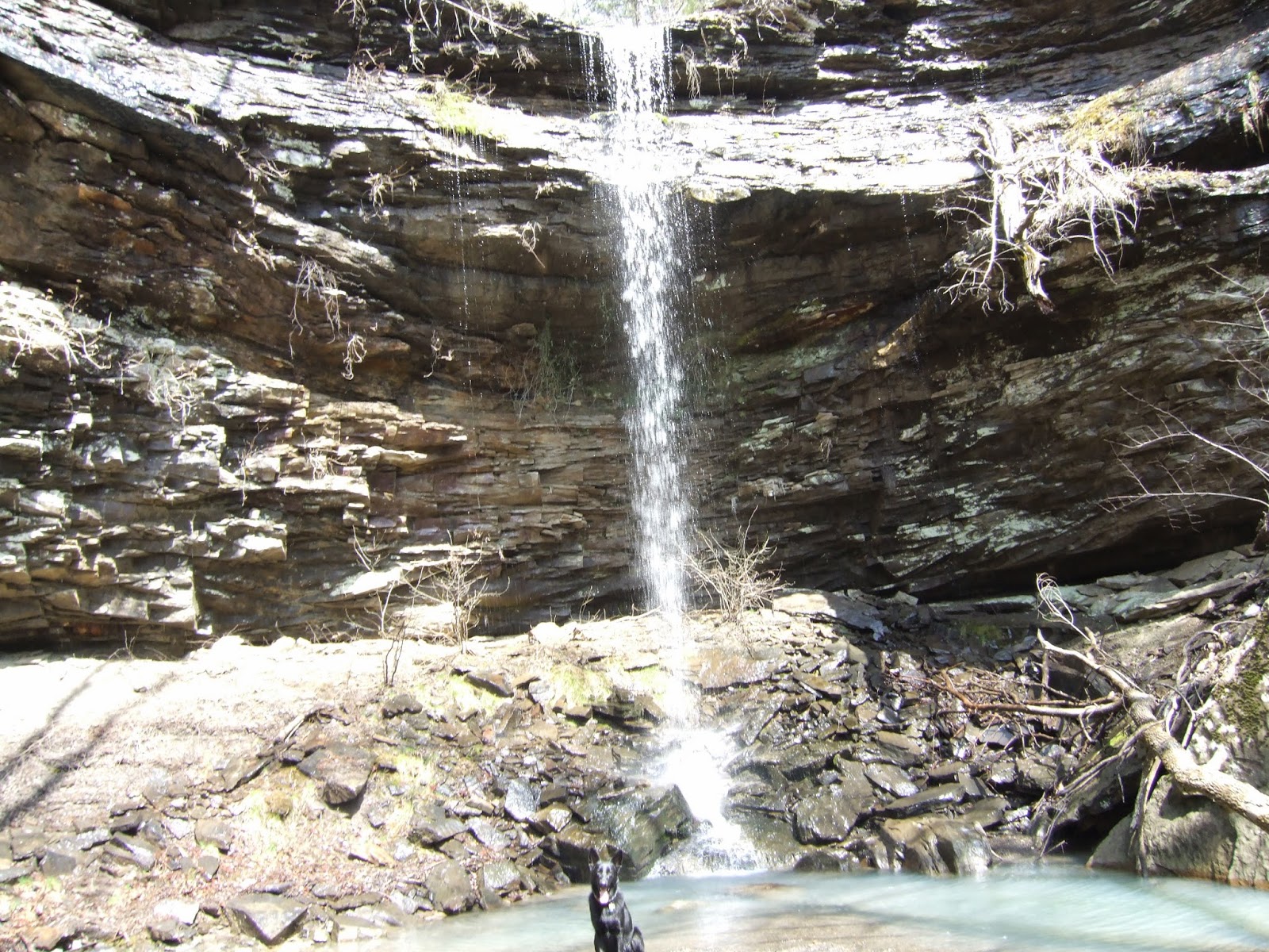 Rick's Hiking Blog Penhook Polyfoss, Penhook Special Interest Area