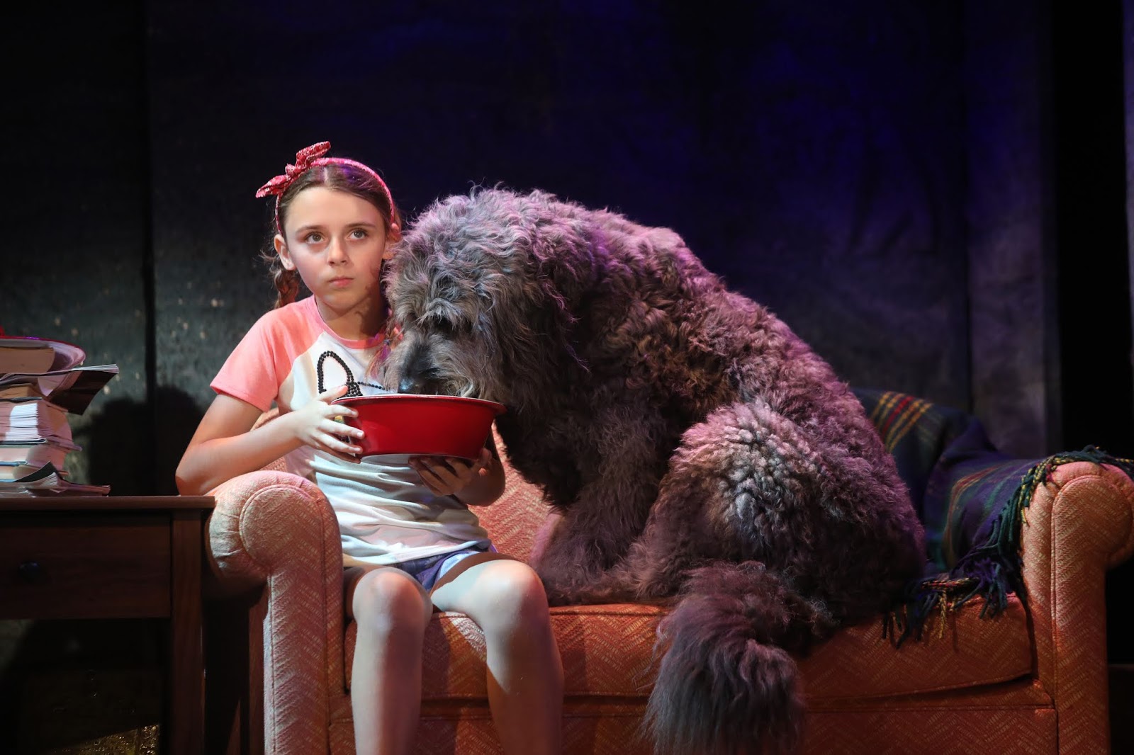 South Shore Critic: "Winn Dixie": Better by Arf Than Most Musicals