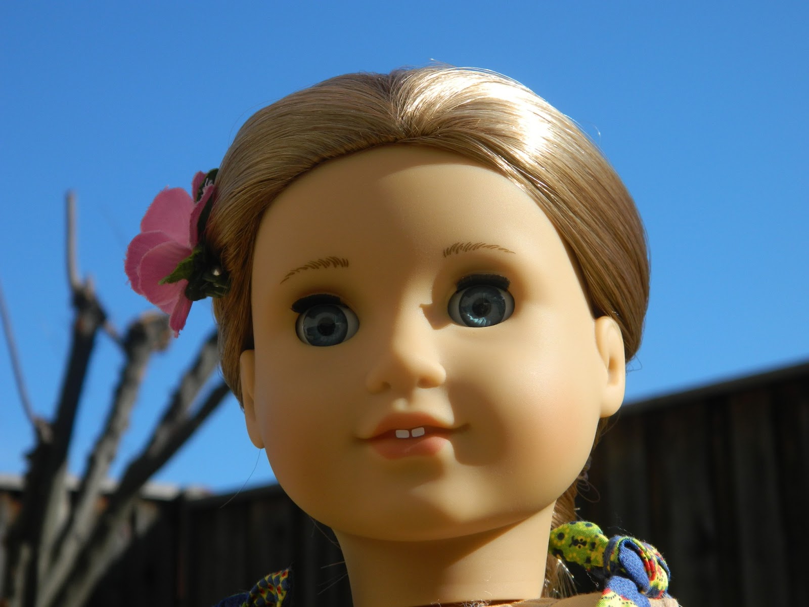 poarbeargirl2000max-my-dollies