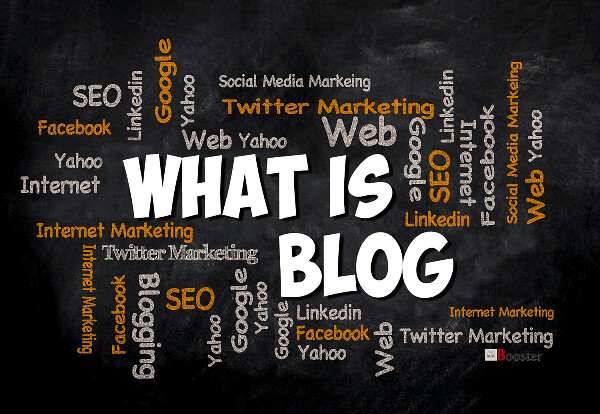 define blogging essay