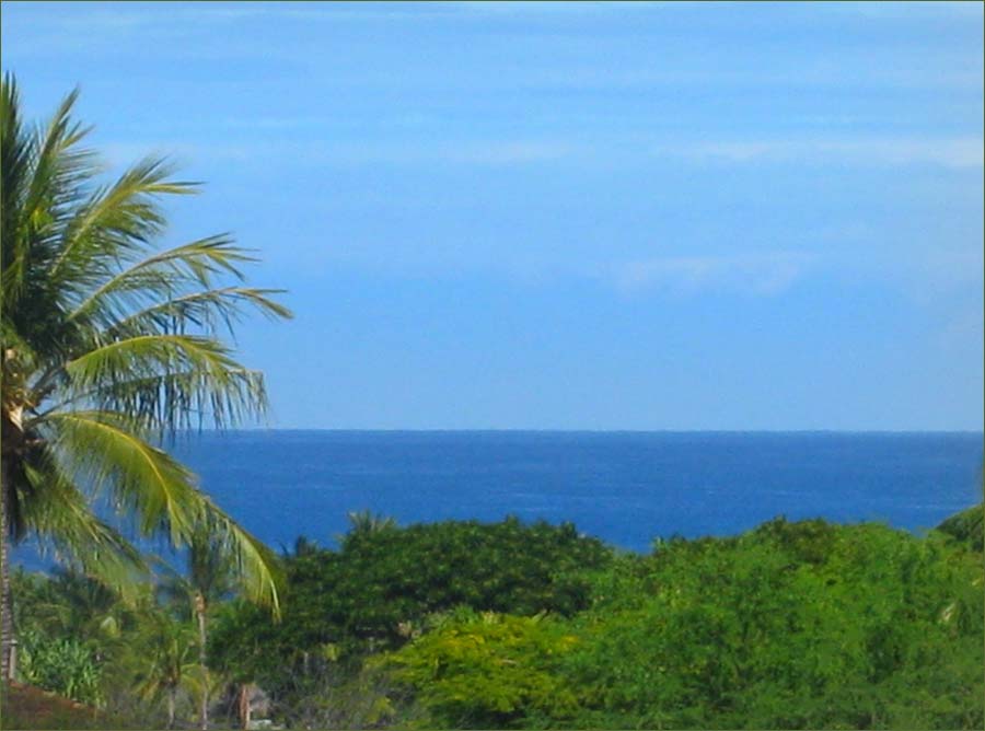 hawaii big island condo rentals