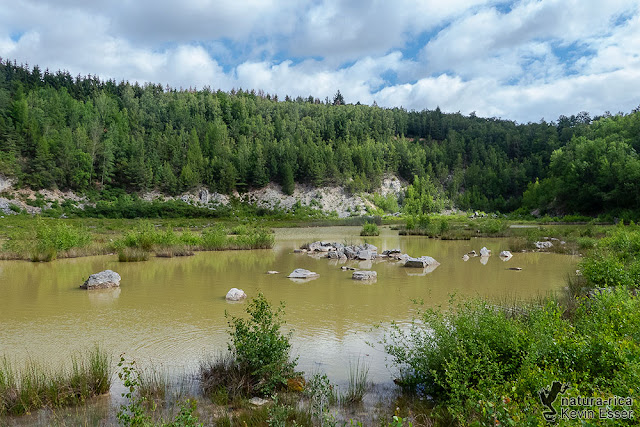 Habitat