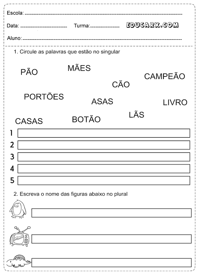 Atividades singular e plural 3° ano fundamental