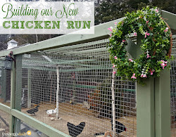chicken run building proof predator coop coops chickens runs houses backyard hen eggs fresh maine