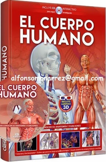 EL CUERPO HUMANO