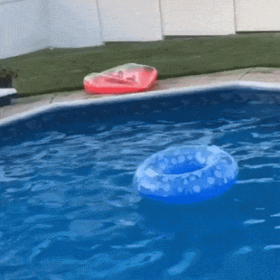 daily_gifdump_3352_05.gif