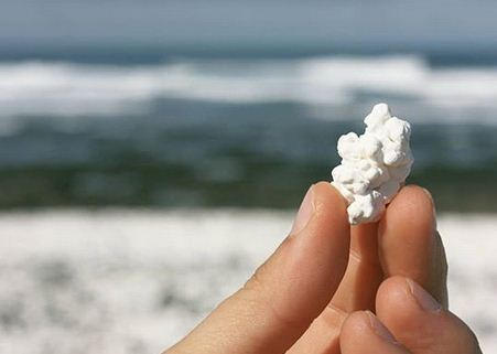 شاطئ الفشار شاطئ الفشار