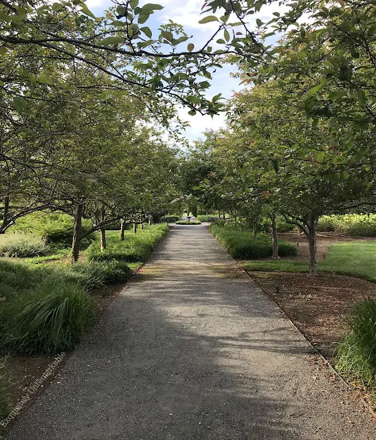 Tree Lined Garden Path