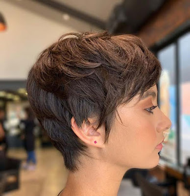 21+ Amazing Short Hairstyles for Ladies with Fine Hair With Pixie Haircuts Shorter hairstyles became one of the must 21+ Amazing Short Hairstyles for Ladies with Fine Hair With Pixie Haircuts