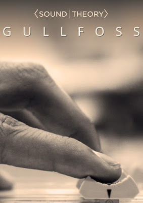 Cover do plugin Soundtheory - Gullfoss 1.10.0