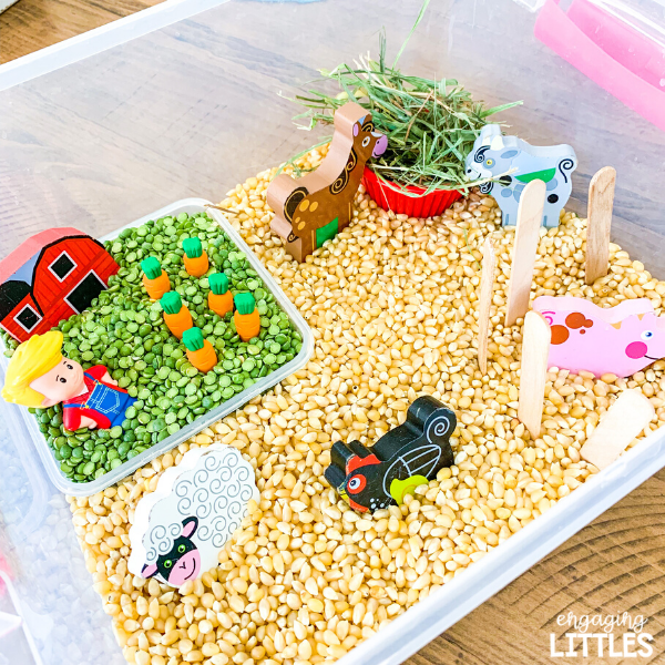 Sensory Bin Bases Engaging Littles