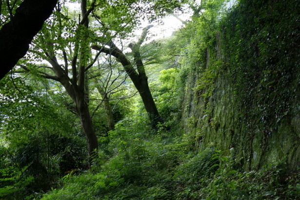 葛城修験 葛城二十八宿 経塚 山中渓 後藤証厳 葛城護持院証厳坊(NPO) 大阪府