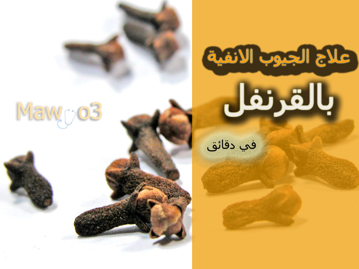 علاج الجيوب الأنفية بالقرنفل في دقائق