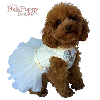 FUFU TUTU DRESS FUFU TUTU DRESS